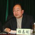 楊志剛(天水市中小企業局局長) 楊志剛(天水市中小企業局局長)