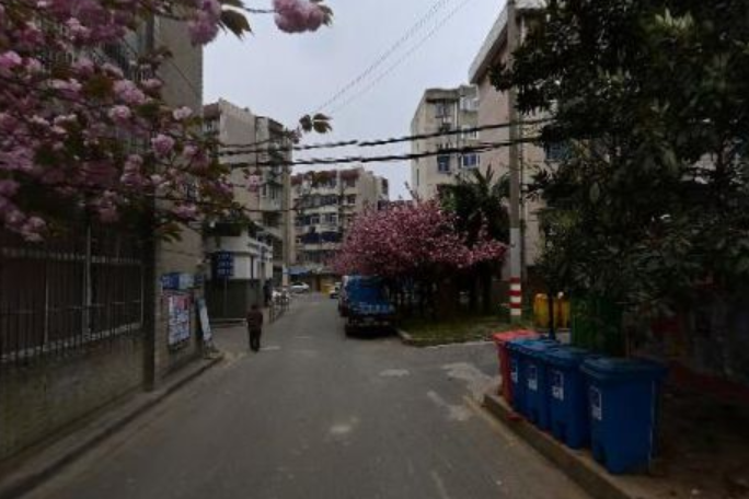 周窪新村 周窪新村