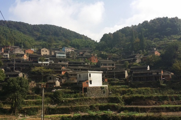 金山村(錢家山) 金山村(錢家山)