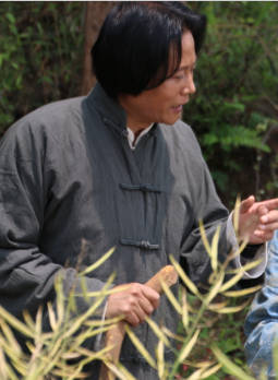 舒斯一 舒斯一
