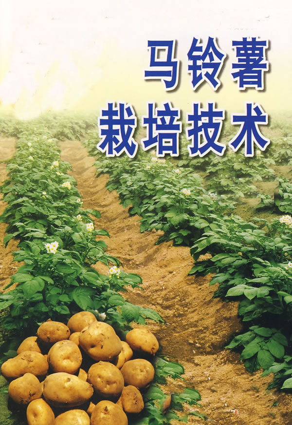 馬鈴薯栽培