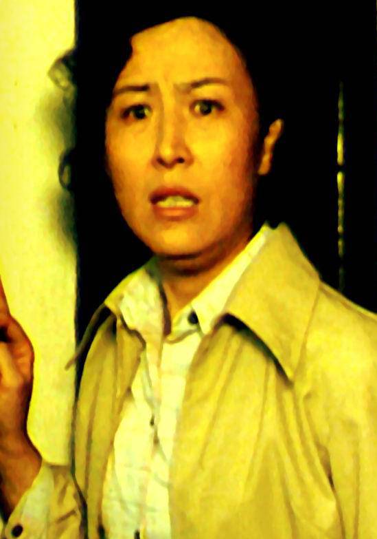 少年犯(1985年張良、王靜珠執導大陸電影)