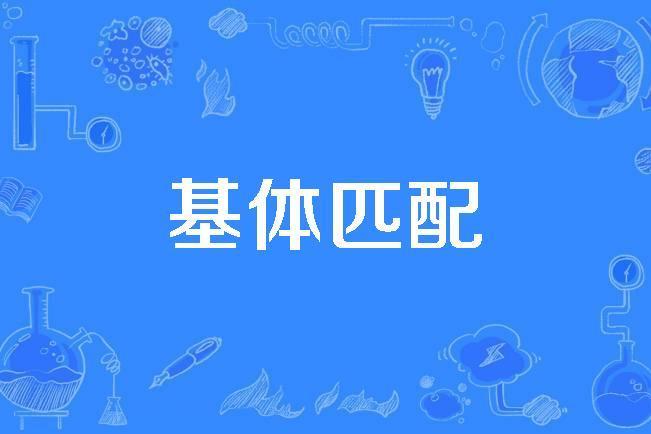 基體匹配 基體匹配
