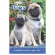 Pug Dogs Pug Dogs