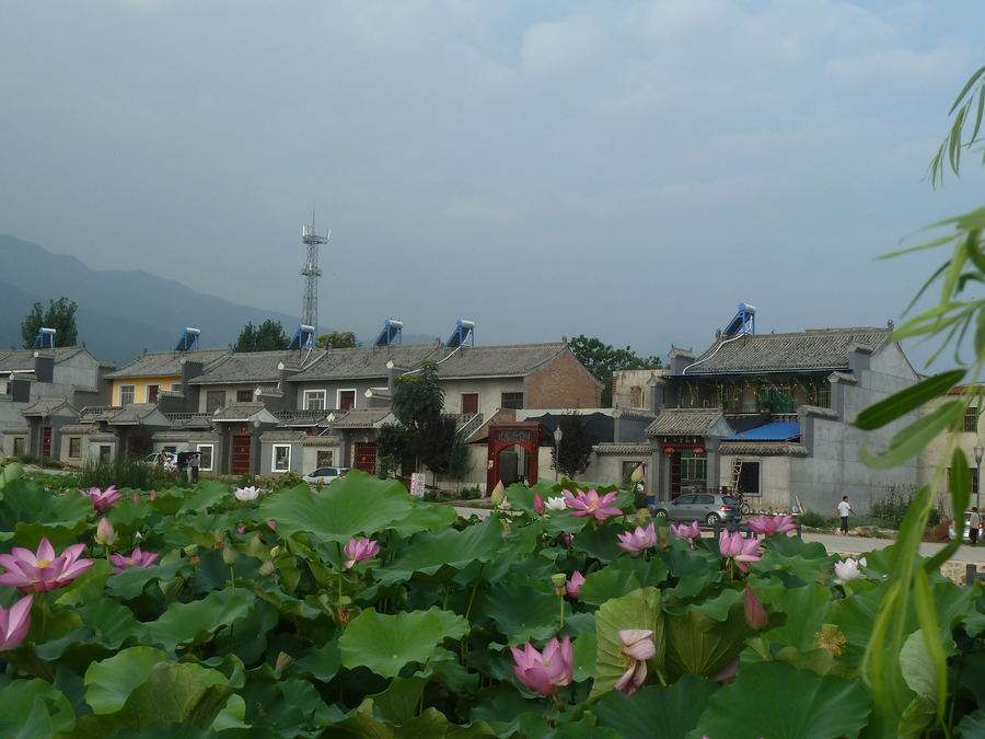 清水頭村 清水頭村