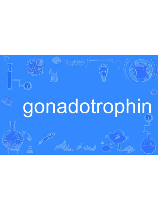 gonadotrophin gonadotrophin