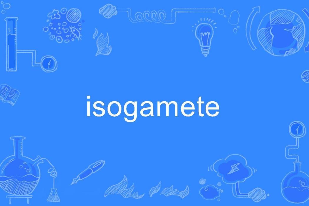 isogamete isogamete