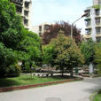 苦竹林村(雲南省金平縣老勐鄉苦竹林村) 苦竹林村(雲南省金平縣老勐鄉苦竹林村)