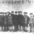 西路軍(紀錄片)