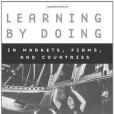 Learning by Doing in Markets, Firms and Countries Learning by Doing in Markets, Firms and Countries