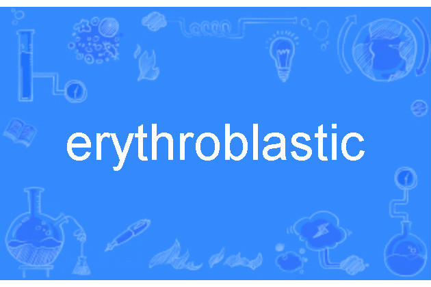 erythroblastic erythroblastic