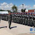 中國人民解放軍維和部隊