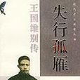 失行孤雁 失行孤雁