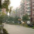 求是村 求是村