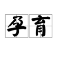 孕育 孕育