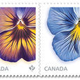 三色堇(加拿大發行郵票)