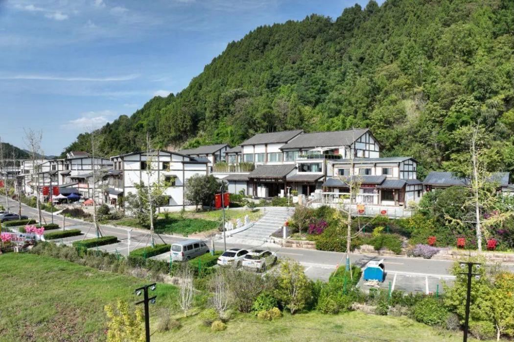 雙江村(四川省射洪市廣興鎮下轄行政村) 雙江村(四川省射洪市廣興鎮下轄行政村)