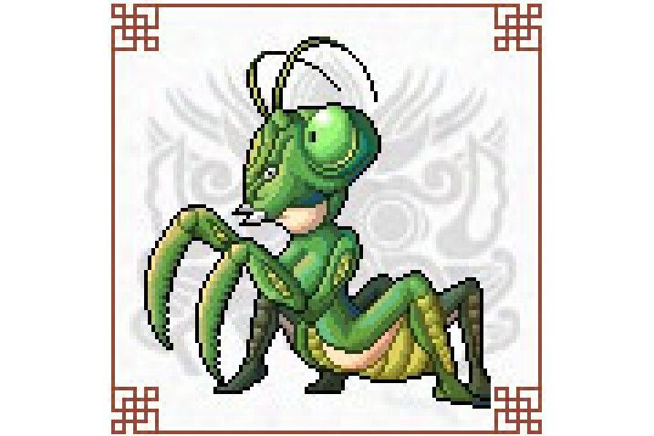 螳螂勇勇 螳螂勇勇