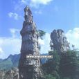 宜賓懸棺 宜賓懸棺