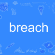 Breach(英語單詞) Breach(英語單詞)