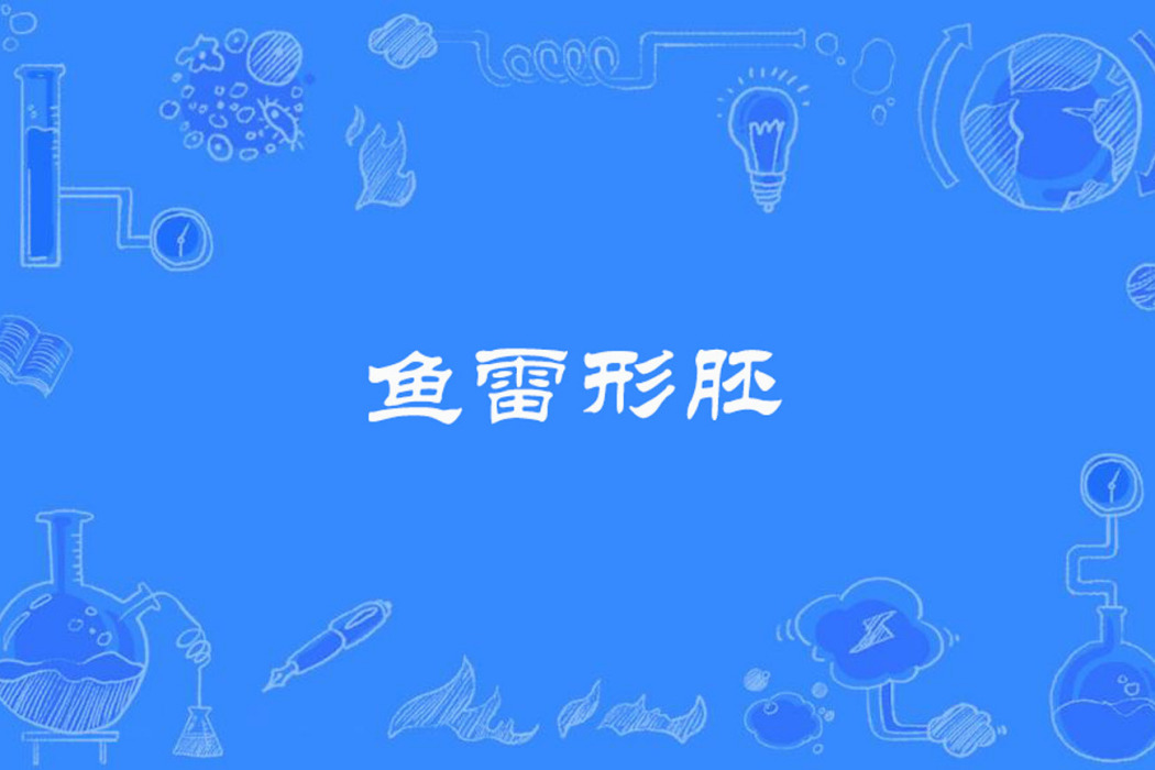 魚雷形胚