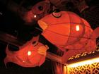 鯉魚燈