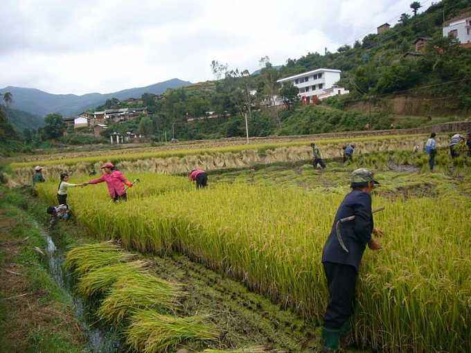 上村四村 上村四村