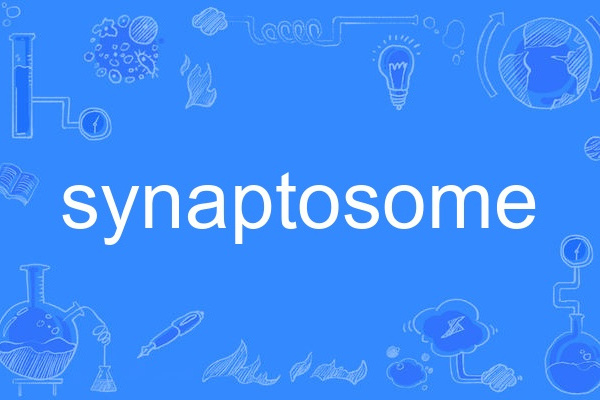 synaptosome synaptosome