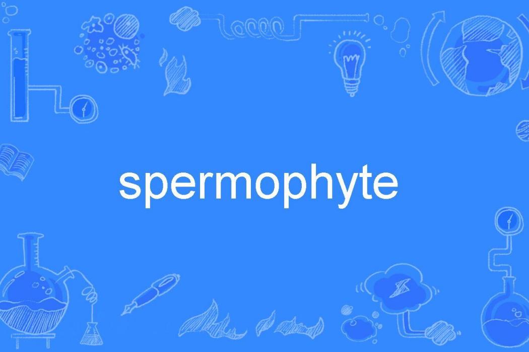 spermophyte spermophyte