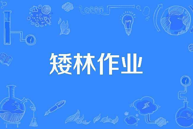 矮林作業 矮林作業