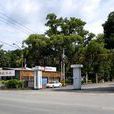 旗山糖廠 旗山糖廠
