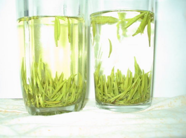 綠茶茶藝