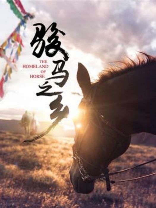 駿馬之鄉 駿馬之鄉
