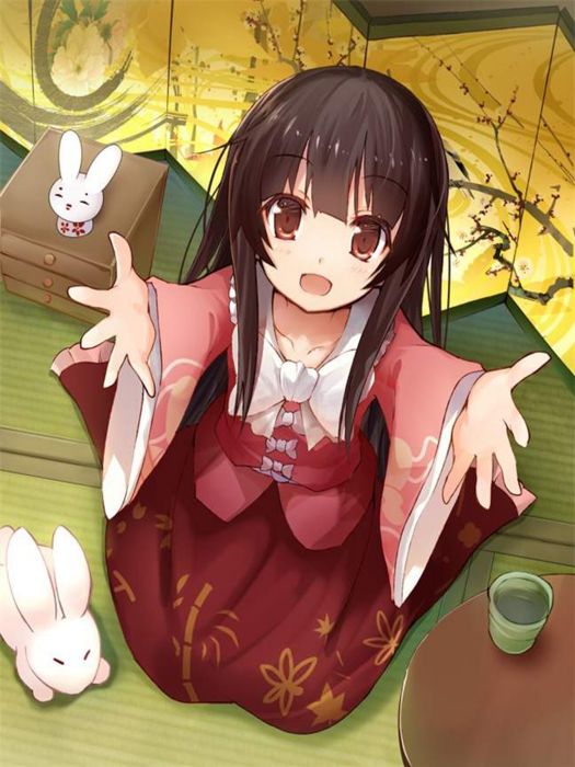 二次元OL 二次元OL