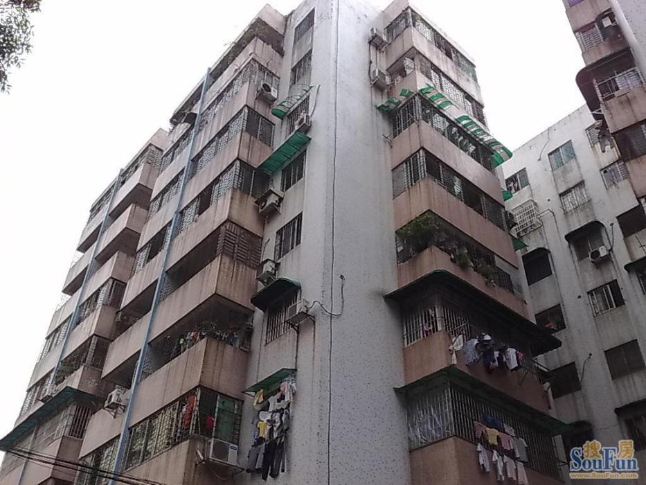 新市花園 新市花園