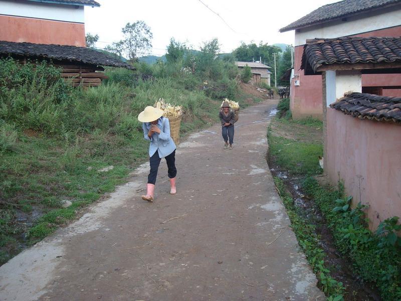 新羊村 新羊村