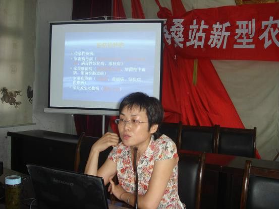 徐家萍(安徽省第十三屆人民代表大會代表)