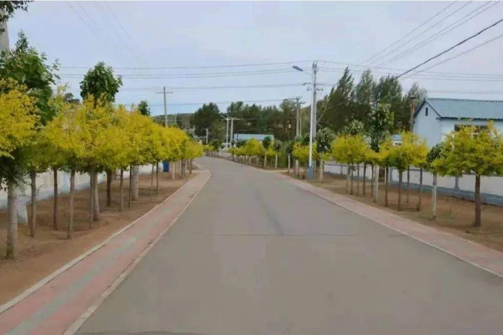 合發村(內蒙古自治區突泉縣水泉鎮下轄村)