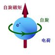 原子磁矩 原子磁矩