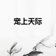 寵上天際 寵上天際