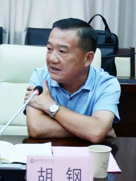胡鋼(安徽省交通投資控股集團副總工程師) 胡鋼(安徽省交通投資控股集團副總工程師)