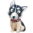 狗狗大全 狗狗大全
