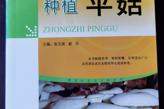 種植平菇 種植平菇
