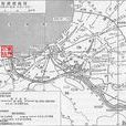 里加戰役 里加戰役