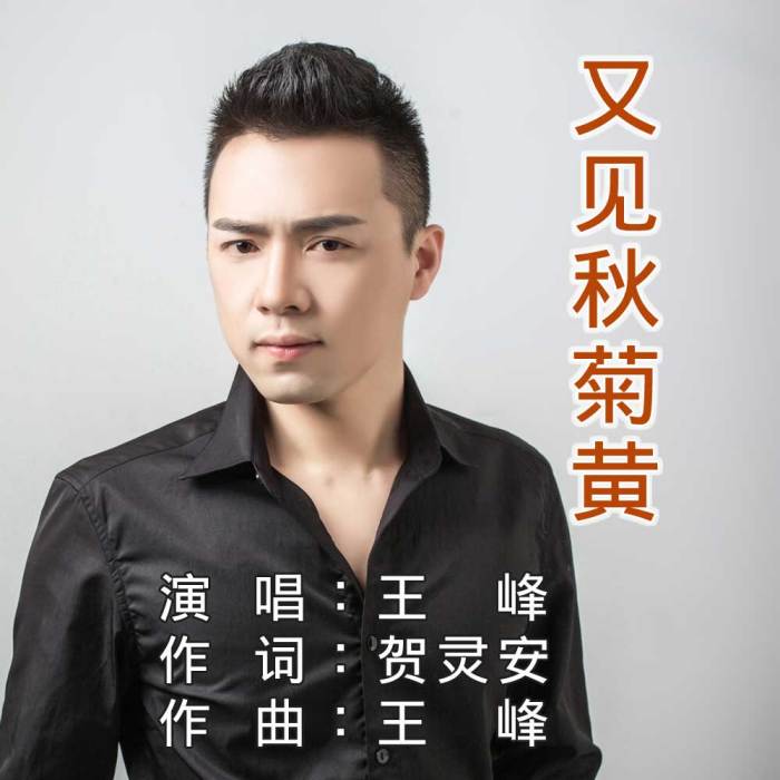 又見秋菊黃 又見秋菊黃