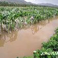 南山社區(浙江省定海區雙橋鎮南山社區) 南山社區(浙江省定海區雙橋鎮南山社區)