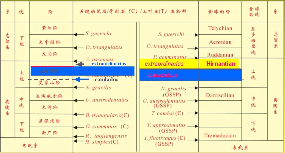 地層單位