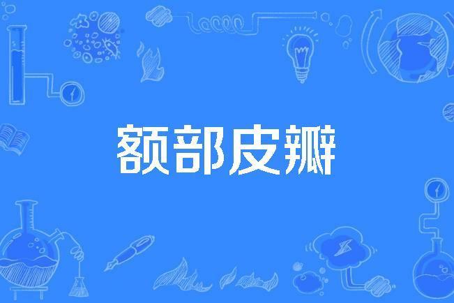 額部皮瓣 額部皮瓣
