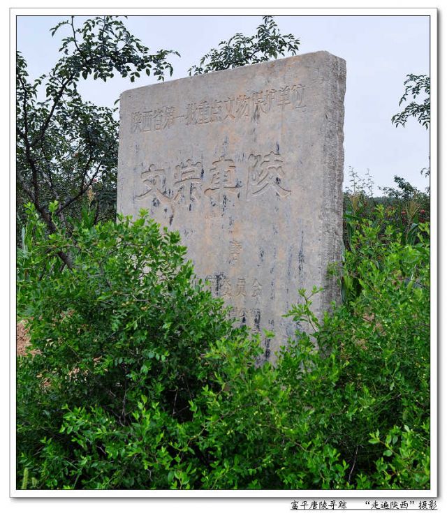 唐文宗章陵保護碑