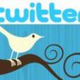 Twitter革命 Twitter革命